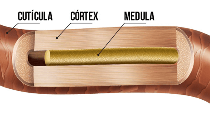 receitas caseiras no cabelo
