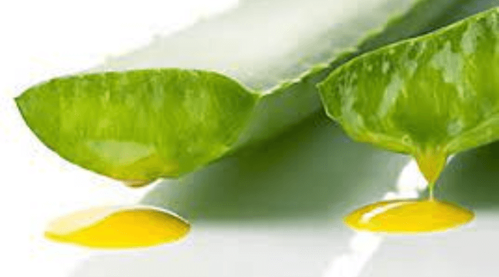 babosa nos cabelos como usar