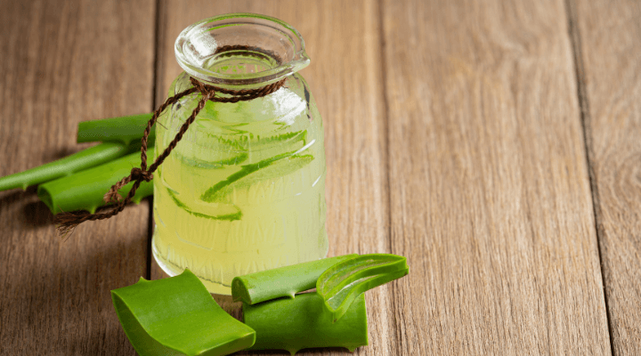 óleo de babosa no cabelo