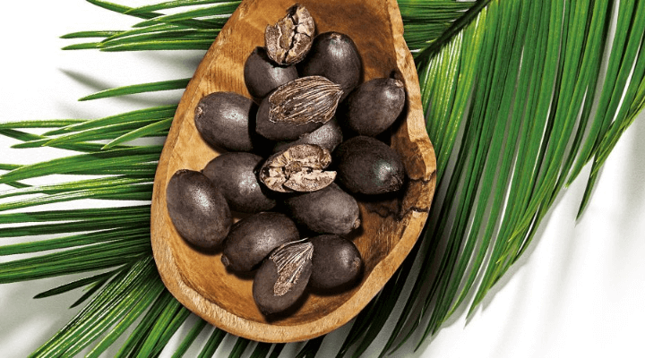 óleo de patauá no cabelo